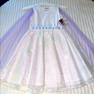 Elsa Costume Dress